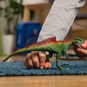 CONCAVENATOR