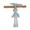 CONEJITO MUÑECA AZUL MEDIANO