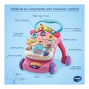CORREPASILLOS ANDANDIN ROSA