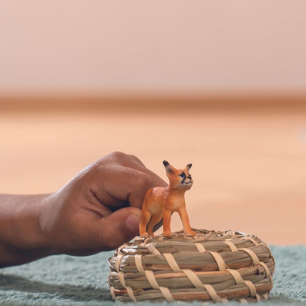 CRIA DE CARACAL
