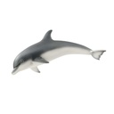 DELFIN