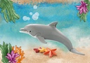 DELFIN