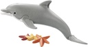 DELFIN