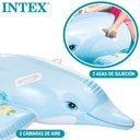 DELFIN HINCHABLE 175x66