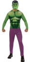 DISFRAZ HULK ADULTO