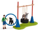 DIVERSION CANINA