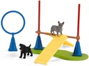 DIVERSION CANINA