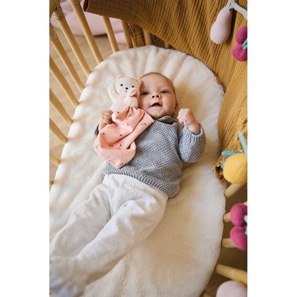DOUDOU OSITO 17 CM.