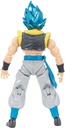 DRAGON BALL EVOLVE-BLUE GOGETA