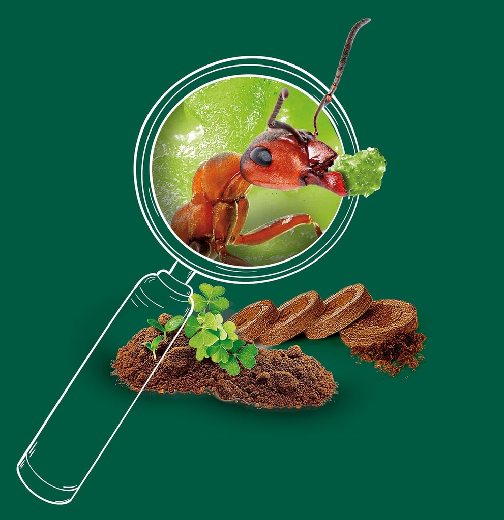 EL MUNDO DE LAS HORMIGAS