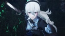 FIRE EMBLEM WARRIORS NSW