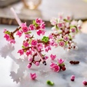 FLORES DE CEREZO