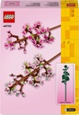 FLORES DE CEREZO