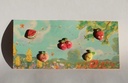 GAFAS SOL SUMSUN FRUITS