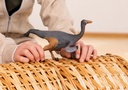 GALLIMIMUS