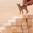 GATO ABISINIO