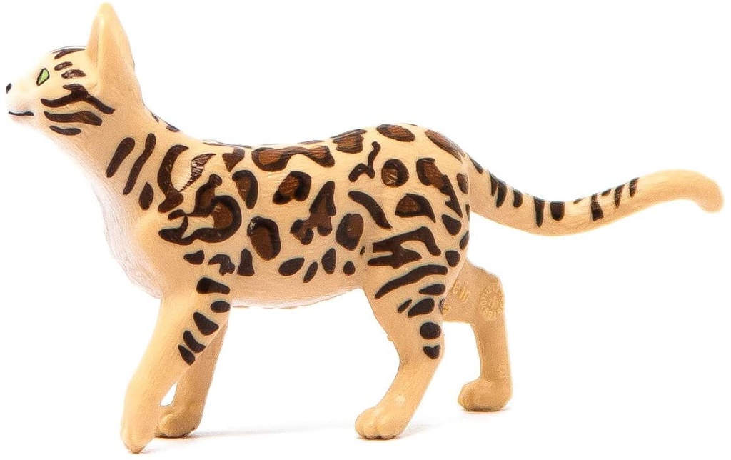 GATO DE BENGALA