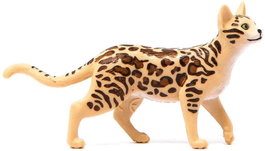 GATO DE BENGALA
