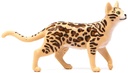 GATO DE BENGALA