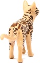 GATO DE BENGALA