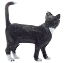 GATO DE PIE