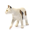 GATO PELO CORTO AMERICANO