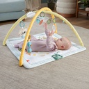 GIMNASIO ANIMALES FISHER PRICE