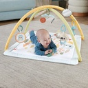 GIMNASIO ANIMALES FISHER PRICE