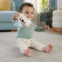 GIMNASIO ANIMALES FISHER PRICE
