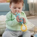 GIMNASIO ANIMALES FISHER PRICE