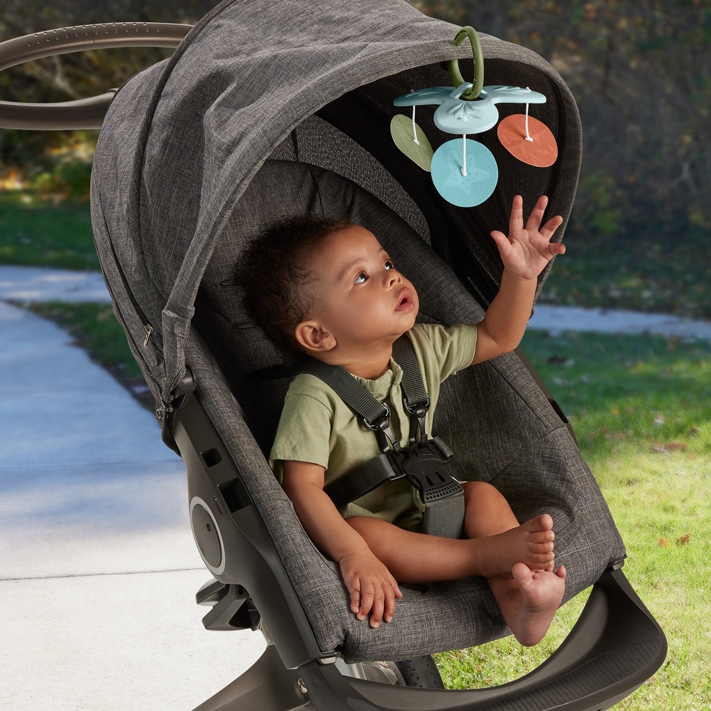 GIMNASIO ANIMALES FISHER PRICE