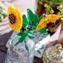 GIRASOLES