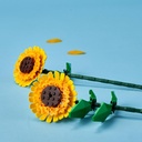 GIRASOLES