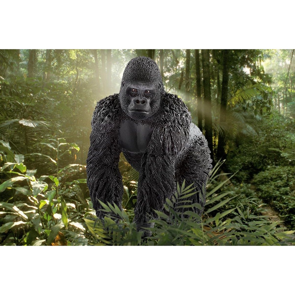 GORILA MACHO