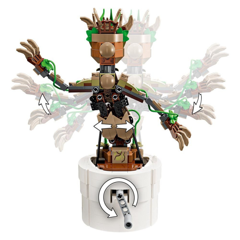 GROOT BAILARIN