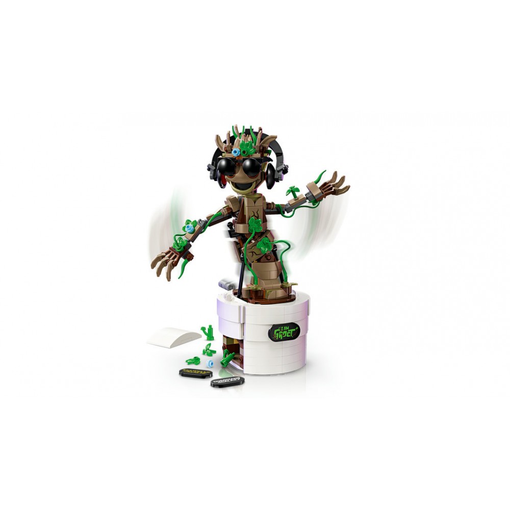 GROOT BAILARIN
