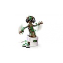 GROOT BAILARIN