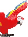 GUACAMAYO