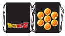 GYMSAC DRAGON BALL BOLAS