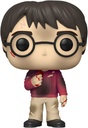 HARRY POTTER POP WITH STONE