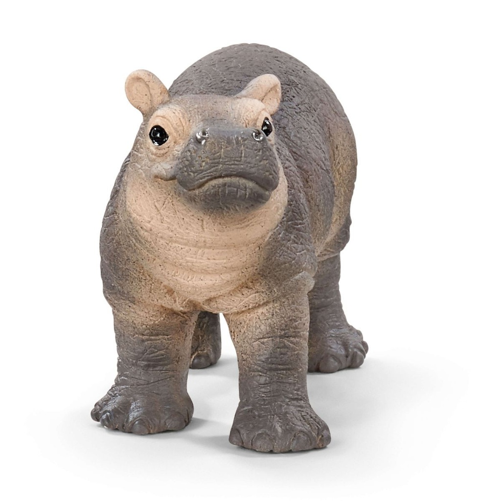 HIPOPOTAMO CRIA