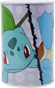 HUCHA POKEMON METALICA