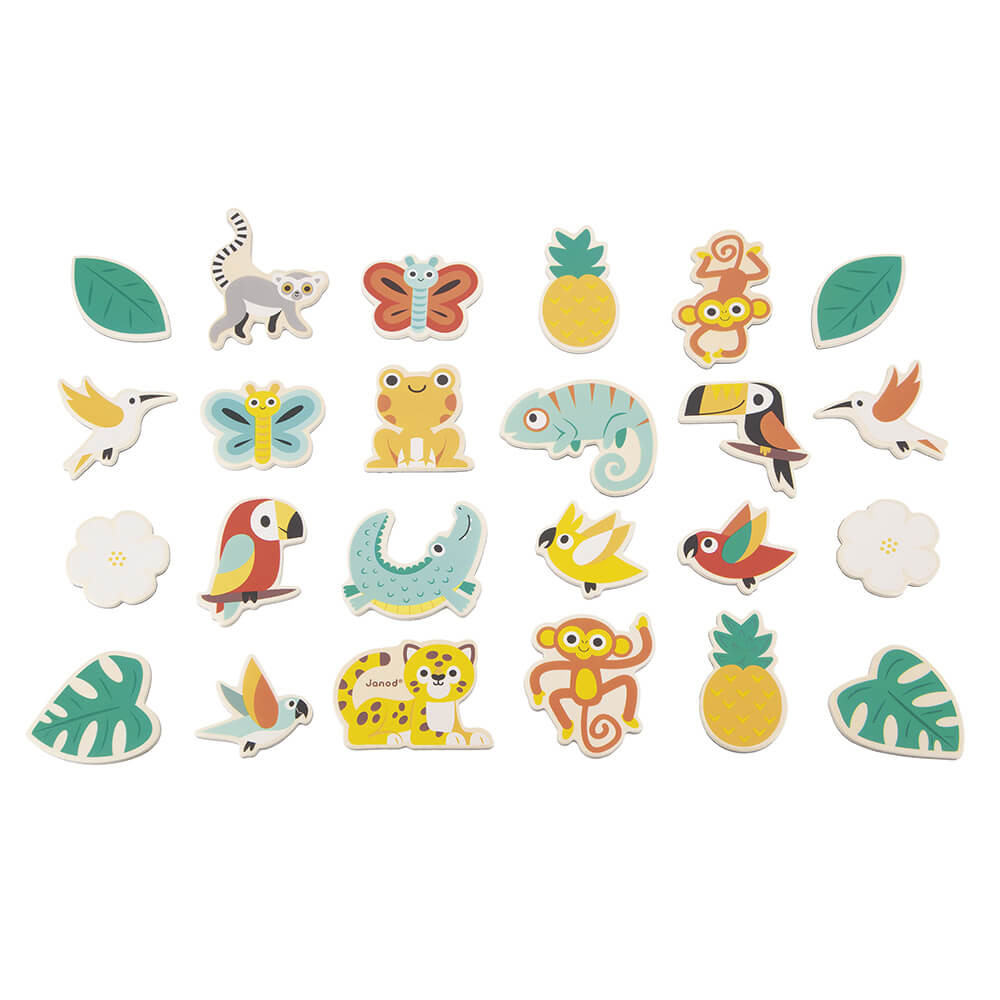 IMANES 24 PIEZAS