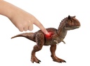 J.W. CARNOTAURUS