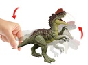 J.W. YANGCHUANOSAURUS GRAN ACC