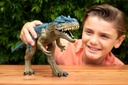 J.W.ALLOSAURUS