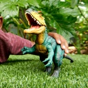 J.W.NEOVENATOR