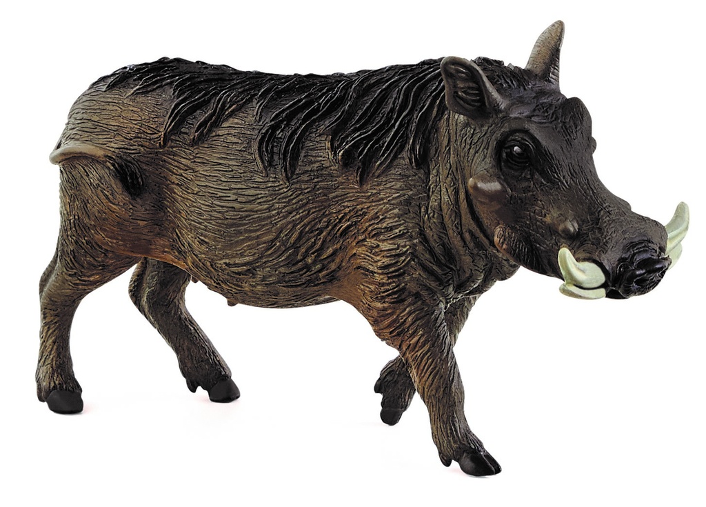 JABALI FACOCHERO