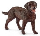 LABRADOR RETRIEVER HEMBRA