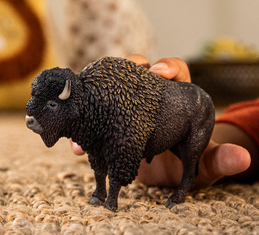 BISONTE
